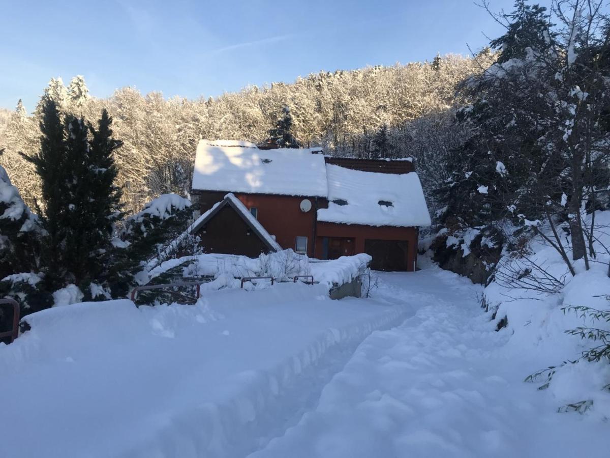 Gite Du Rocher Lapoutroie Esterno foto