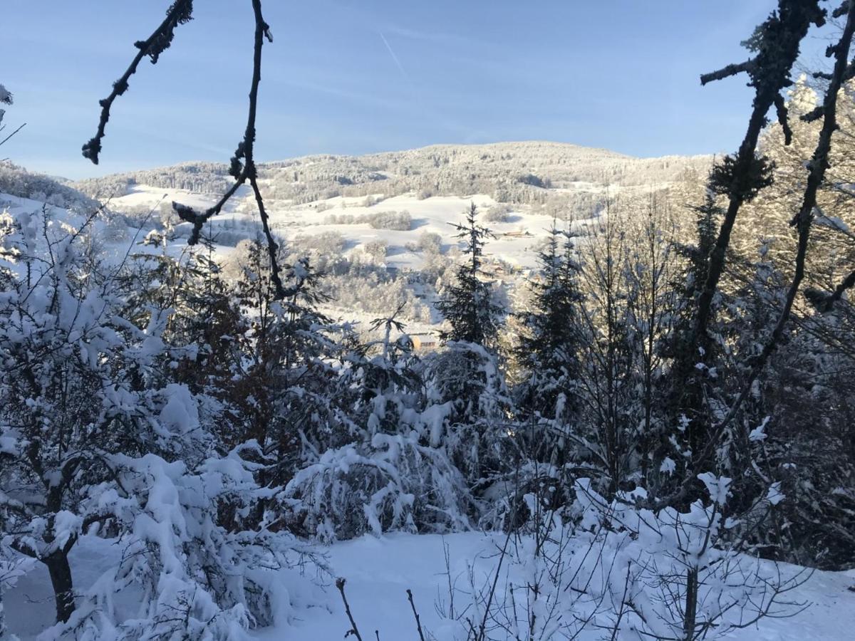 Gite Du Rocher Lapoutroie Esterno foto