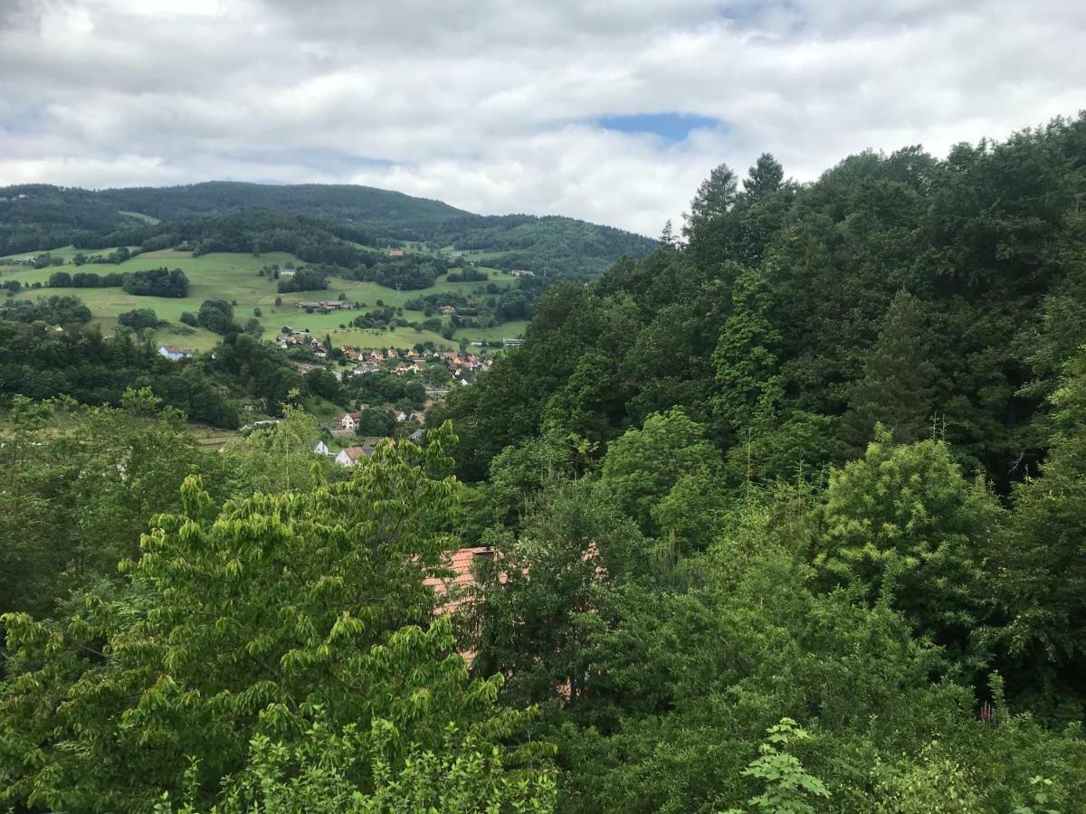 Gite Du Rocher Lapoutroie Esterno foto